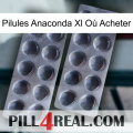 Pilules Anaconda Xl Où Acheter 31